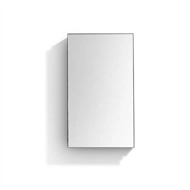 চর্মসার মেডিসিন ক্যাবিনেট